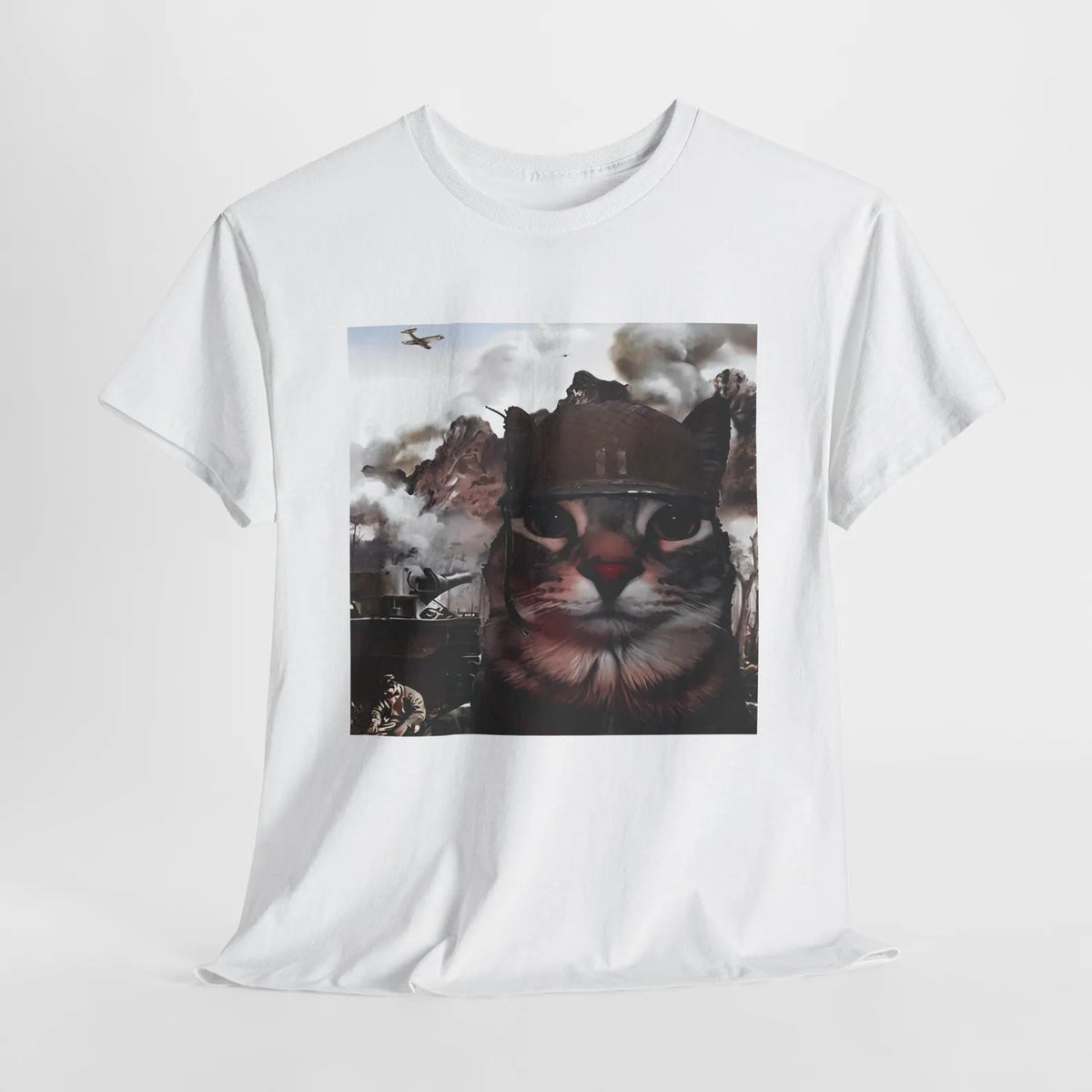 Cats is fighting